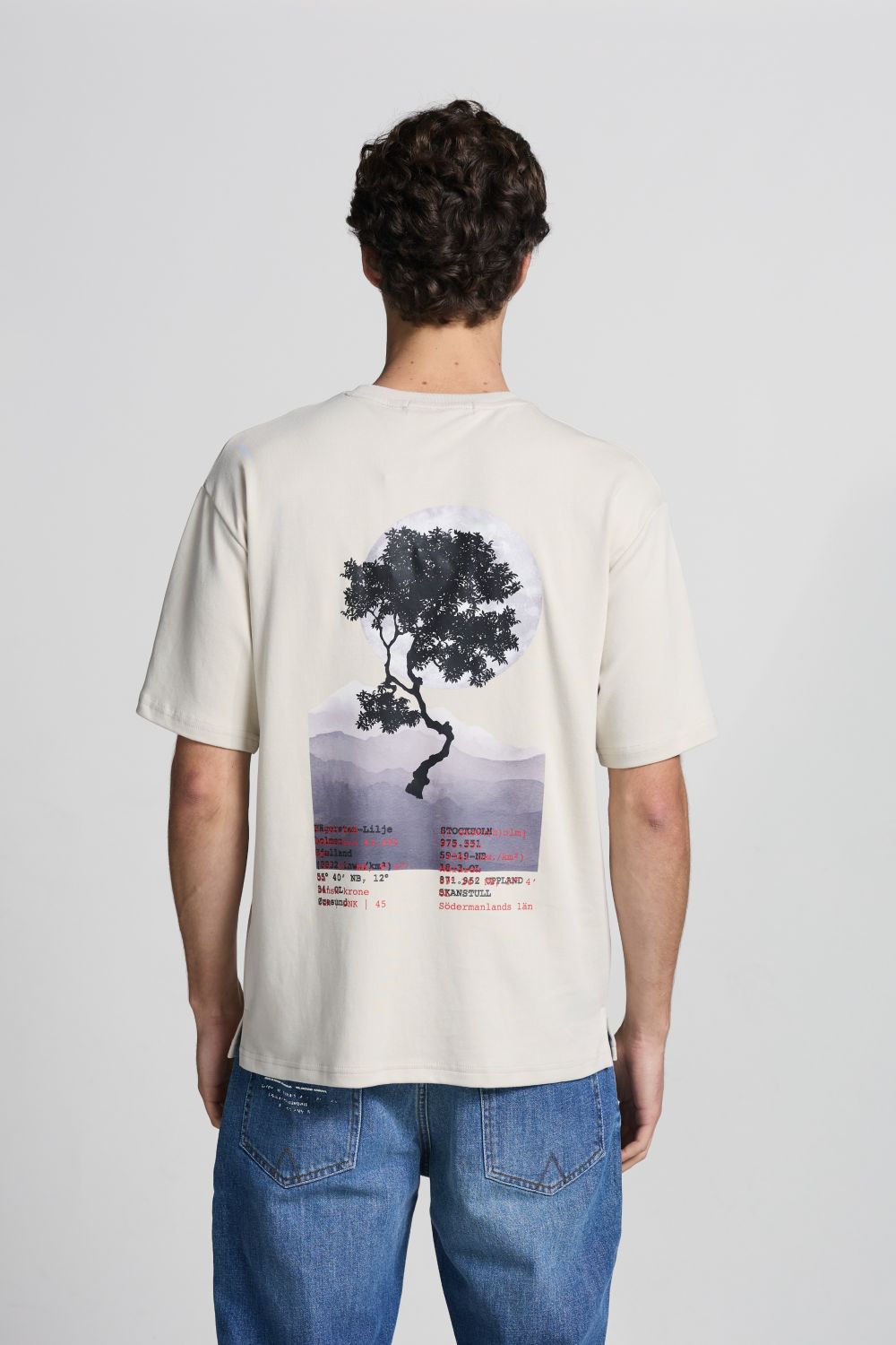 Vallander Tee Ancient Scroll